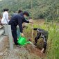 Huyện Quan Sơn, thị trấn Sơn Lư: phát động Tết trồng cây đời đời nhớ ơn Bác Hồ nhân dịp Xuân Nhâm Dần năm 2022